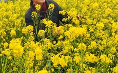 51吃瓜中心-吃最新最真的瓜